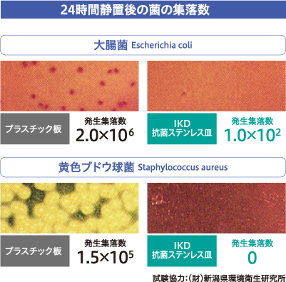 24時間静置後の菌の集落数の表